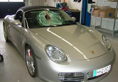Porsche Accident: Bird