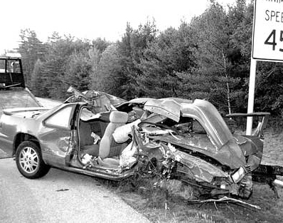 Moose Auto Accident