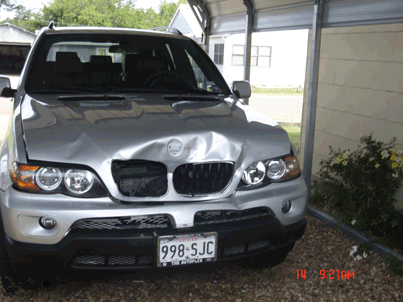 Bmw and deer accident #2