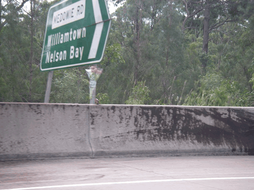 Scene of Fatal Crash Medowie Road NSW