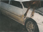 Horse died in collision