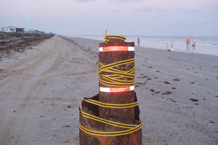 Pole on beach