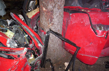 Tree Crash Pic