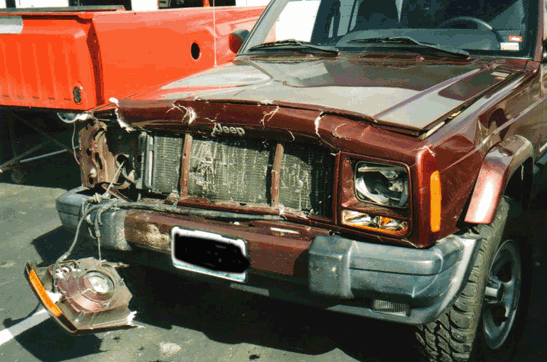 Jeep deer wreck