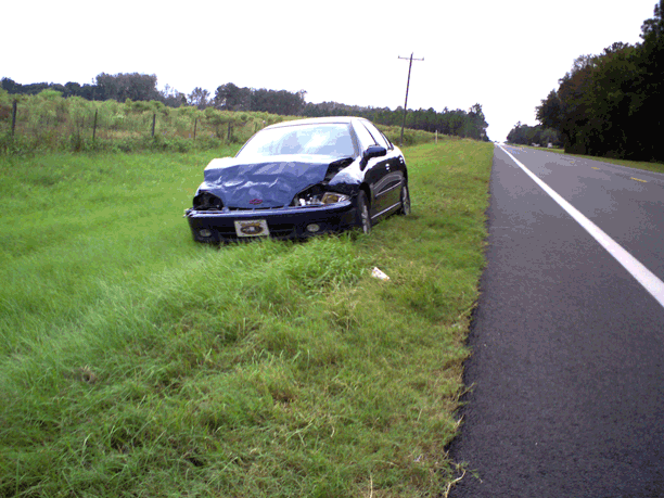 Deer Car crash FL