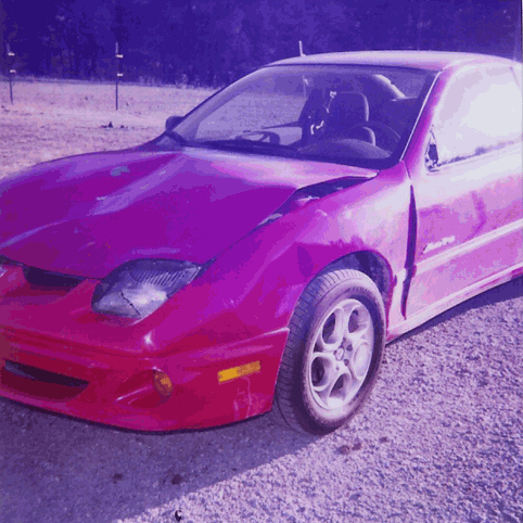 Deer wrecked car